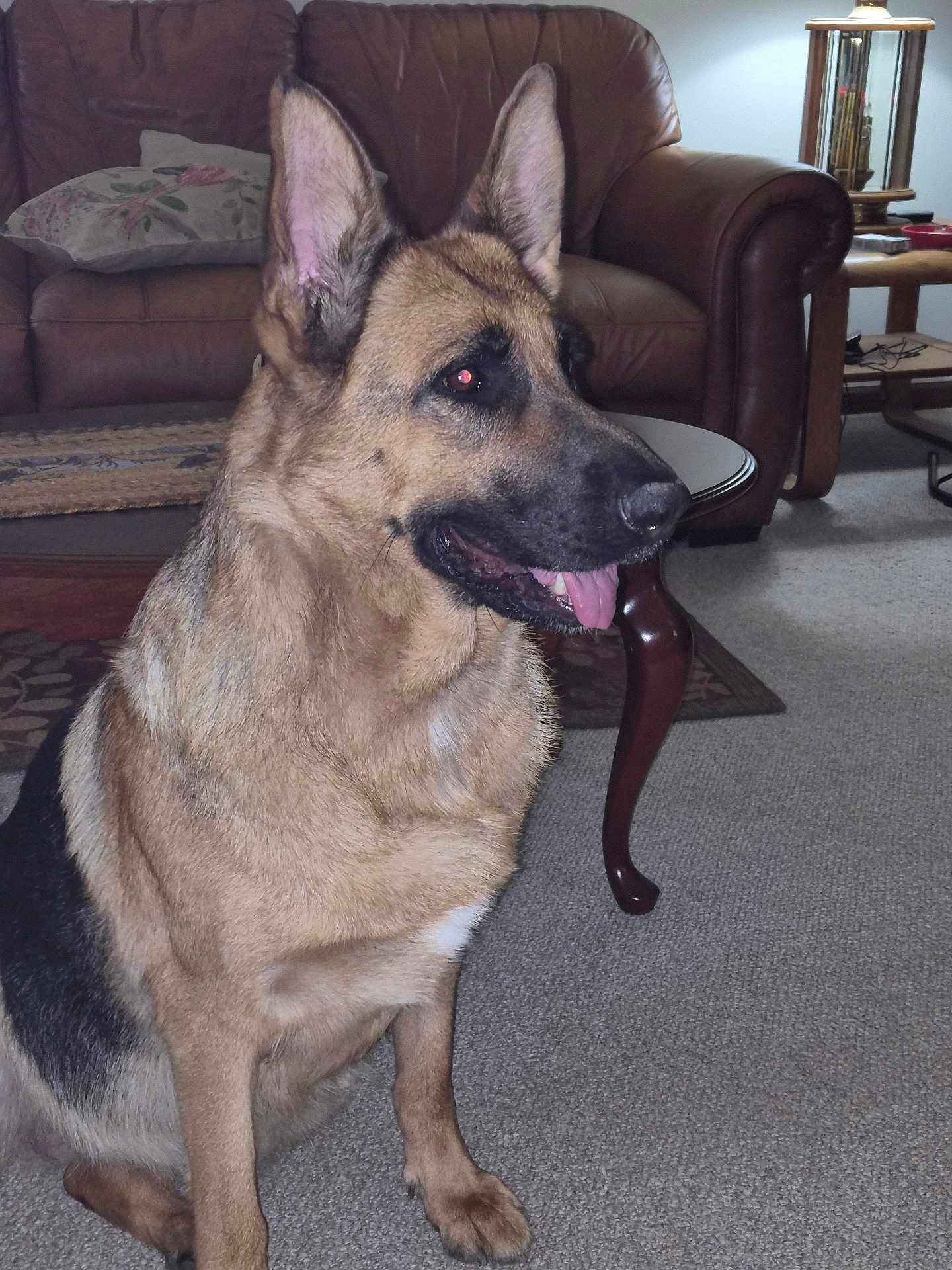 Maya