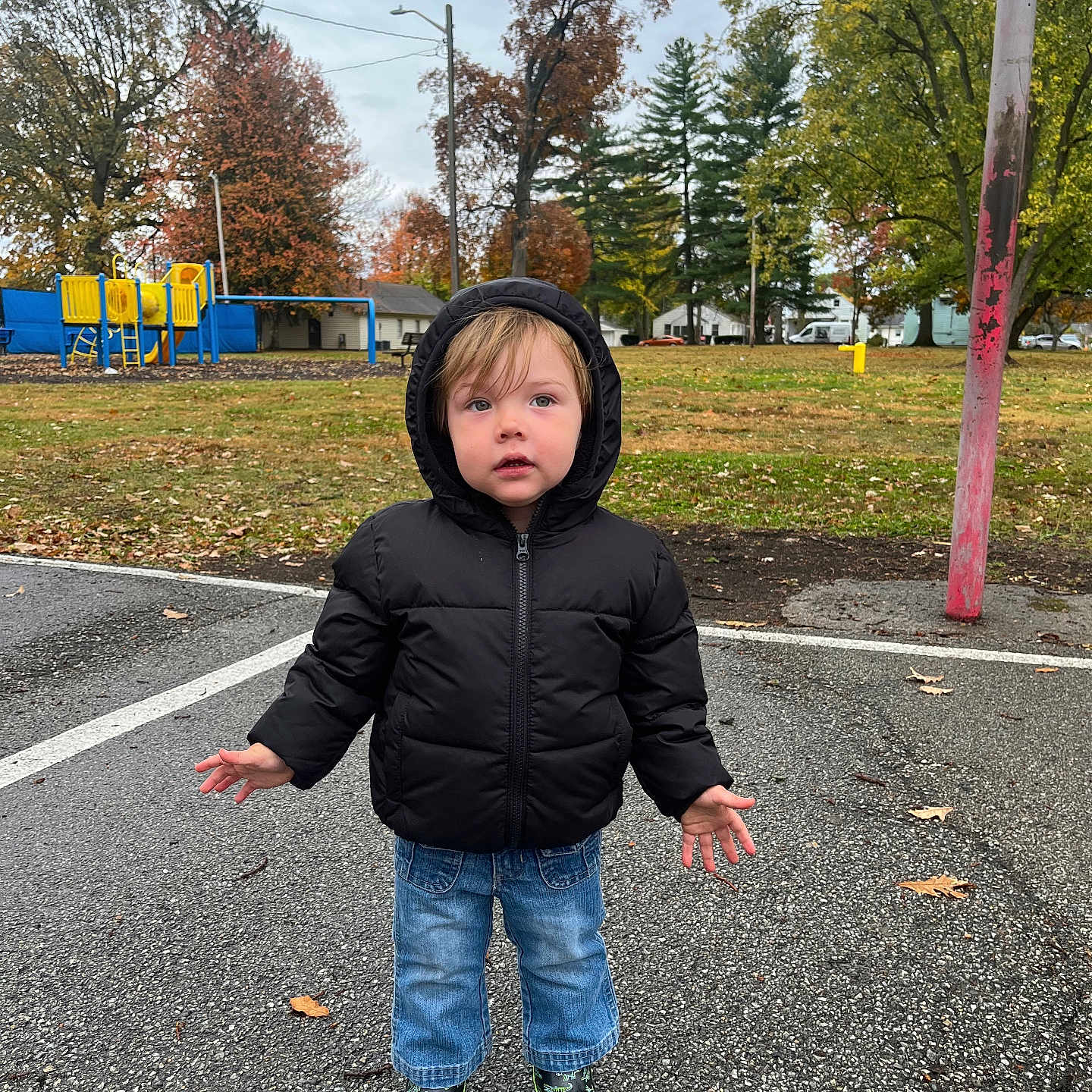 Burrlinn joined the competition — help win amazing prizes! asphalt, autumn, black_jacket, blue_jeans, casual_clothing, child, curious_expression, daytime, dinosaur_pattern, fall_leaves, hooded_jacket, outdoor, overcast_sky, park, person, playground, rain_boots, standing, toddler, trees