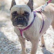 Fashion a rejoint le concours — aidez-le/la à gagner de superbes lots !