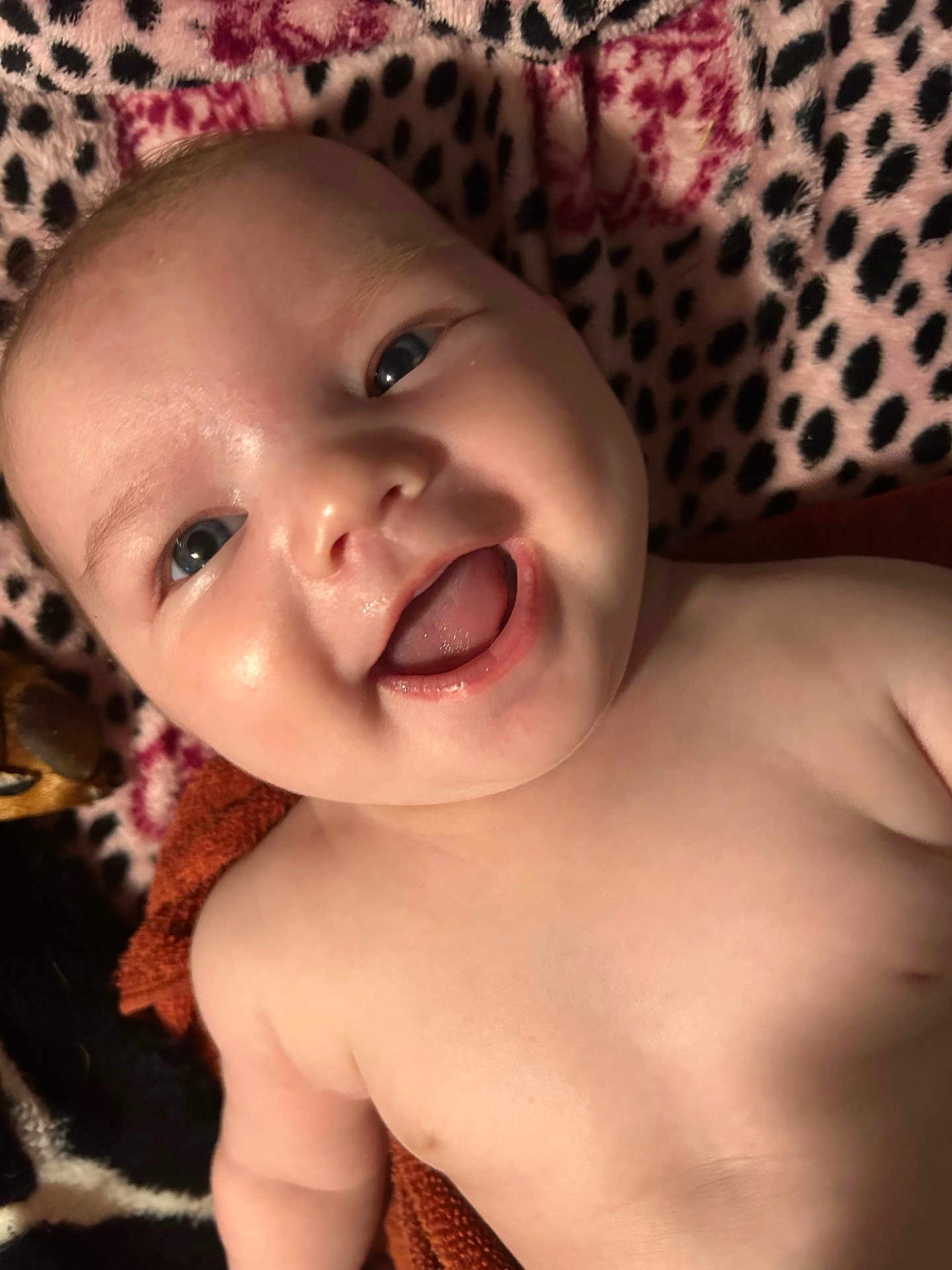 Kallie joined the competition — help win amazing prizes! baby, smile, face, infant, skin, blanket, pattern, leopard_print, floral_print, happy, closeup, child, portrait, lying_down, cute, young, cheerful, indoors, soft_texture, warm