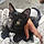 Salem