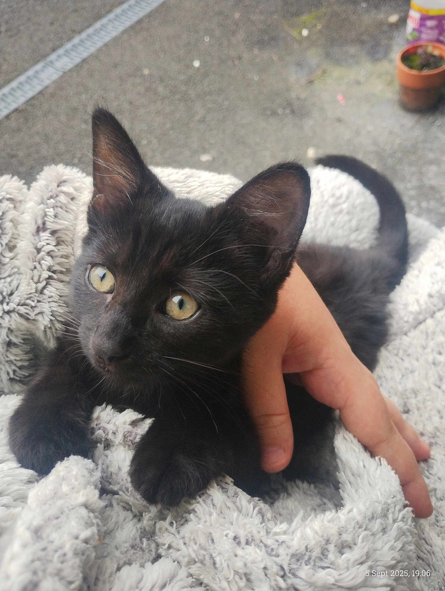 Salem