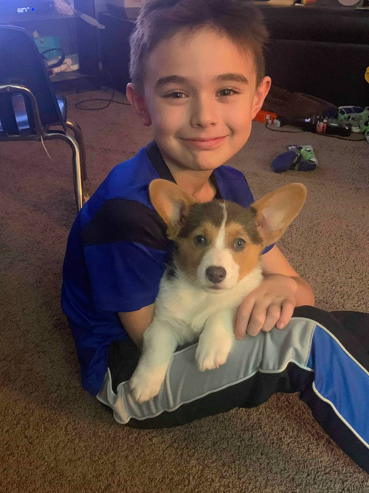 Griffey joined the competition — help win amazing prizes! canidae, cardigan_welsh_corgi, carnivore, companion_dog, dog, dog_breed, mammal, pembroke_welsh_corgi, vertebrate, welsh_corgi