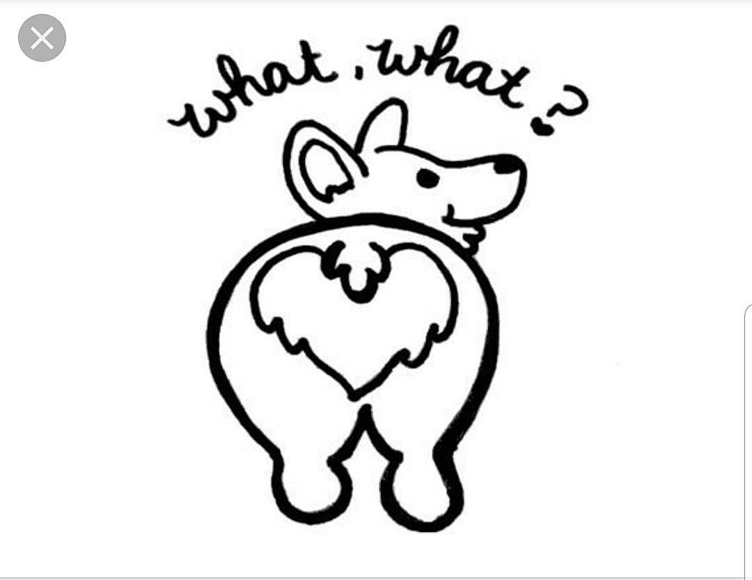 Griffey is registered to the contest to win money with this photo: art, black_and_white, cartoon, coloring_book, drawing, font, head, illustration, line, line_art, organism, snout, style, tail, text, whiskers, white, wildlife