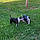 Wooba N Oreo