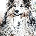 René S.