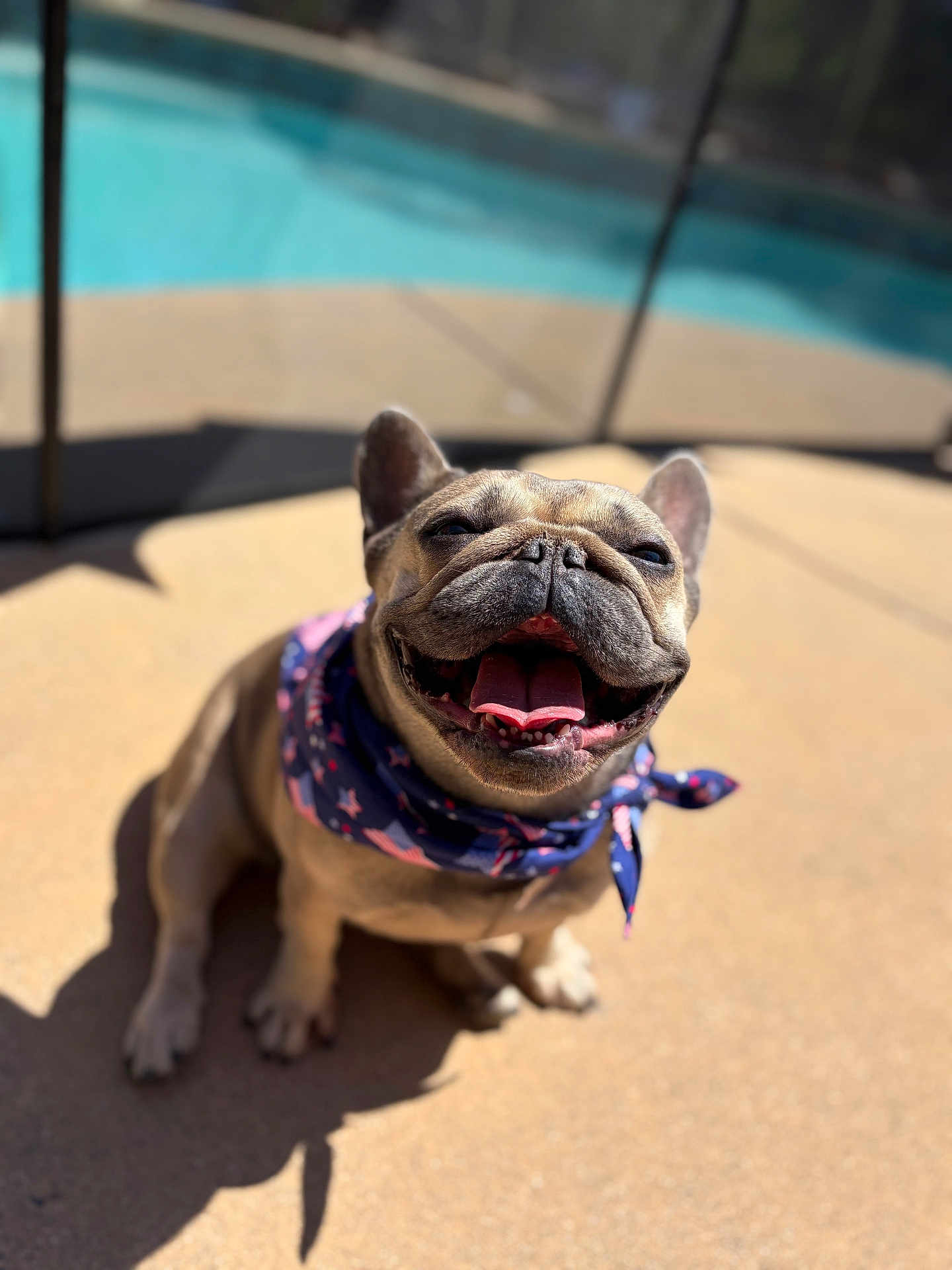 Luna