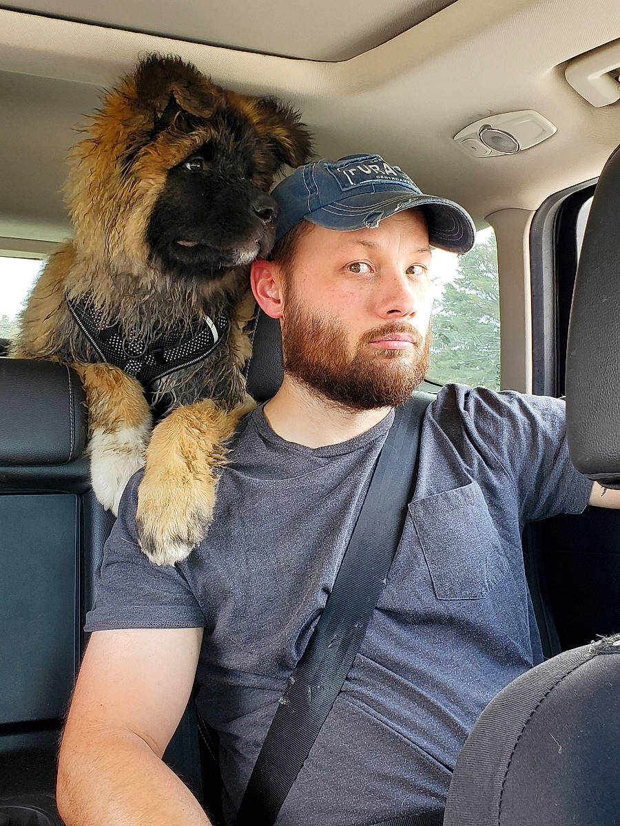 Kumo joined the competition — help win amazing prizes! automotive_design, beard, cap, car_seat, car_seat_cover, companion_dog, dog_breed, facial_hair, family_car, fawn, fur, fur_clothing, hat, head, head_restraint, luxury_vehicle, street_fashion, t_shirt, toy, vehicle_door