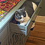 cat, gray_cat, drawer, cabinet, tablecloth, patterned_cloth, wooden_floor, indoor, pet, resting, cozy, furniture, whiskers, paw, sitting, home_decor, living_room, storage, portrait, curiosity
