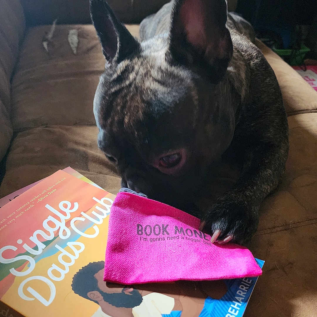 Nova joined the competition — help win amazing prizes! adult, animal, architecture, book, building, bulldog, canine, couch, cushion, dog, face, frenchbulldog, furniture, head, homedecor, male, man, person, pet, publication