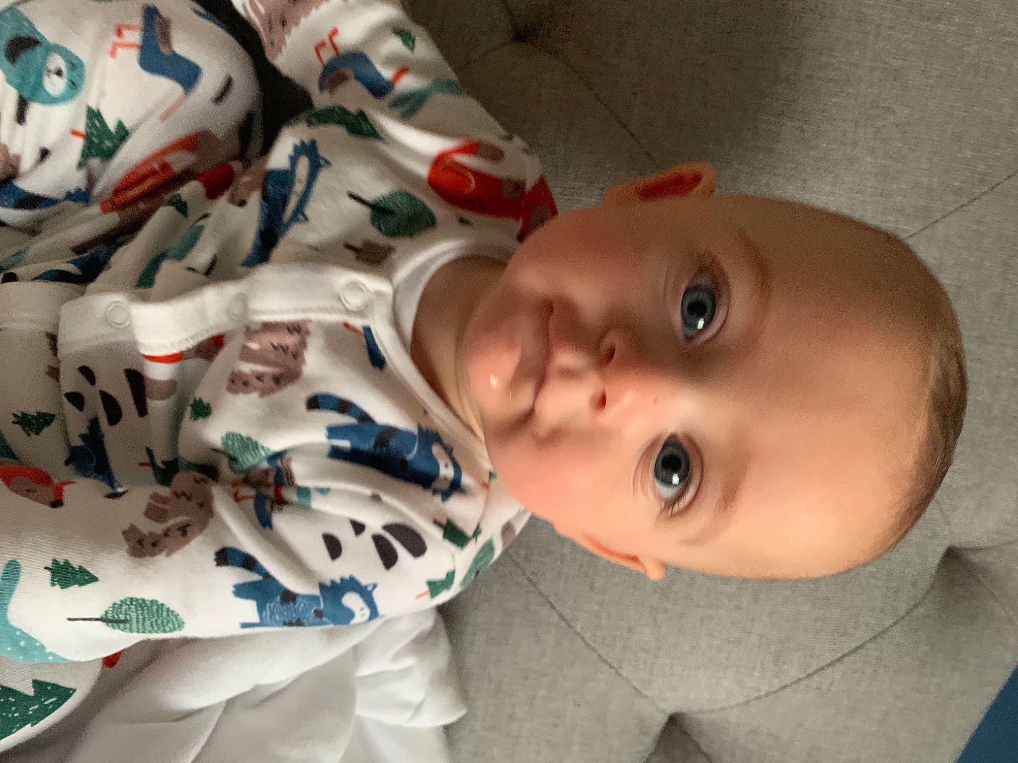 Louie joined the competition — help win amazing prizes! baby, baby_toddler_clothing, cheek, child, chin, eyelash, facial_expression, happy, head, human, lip, mammal, mouth, nose, people, person, room, skin, smile, toddler