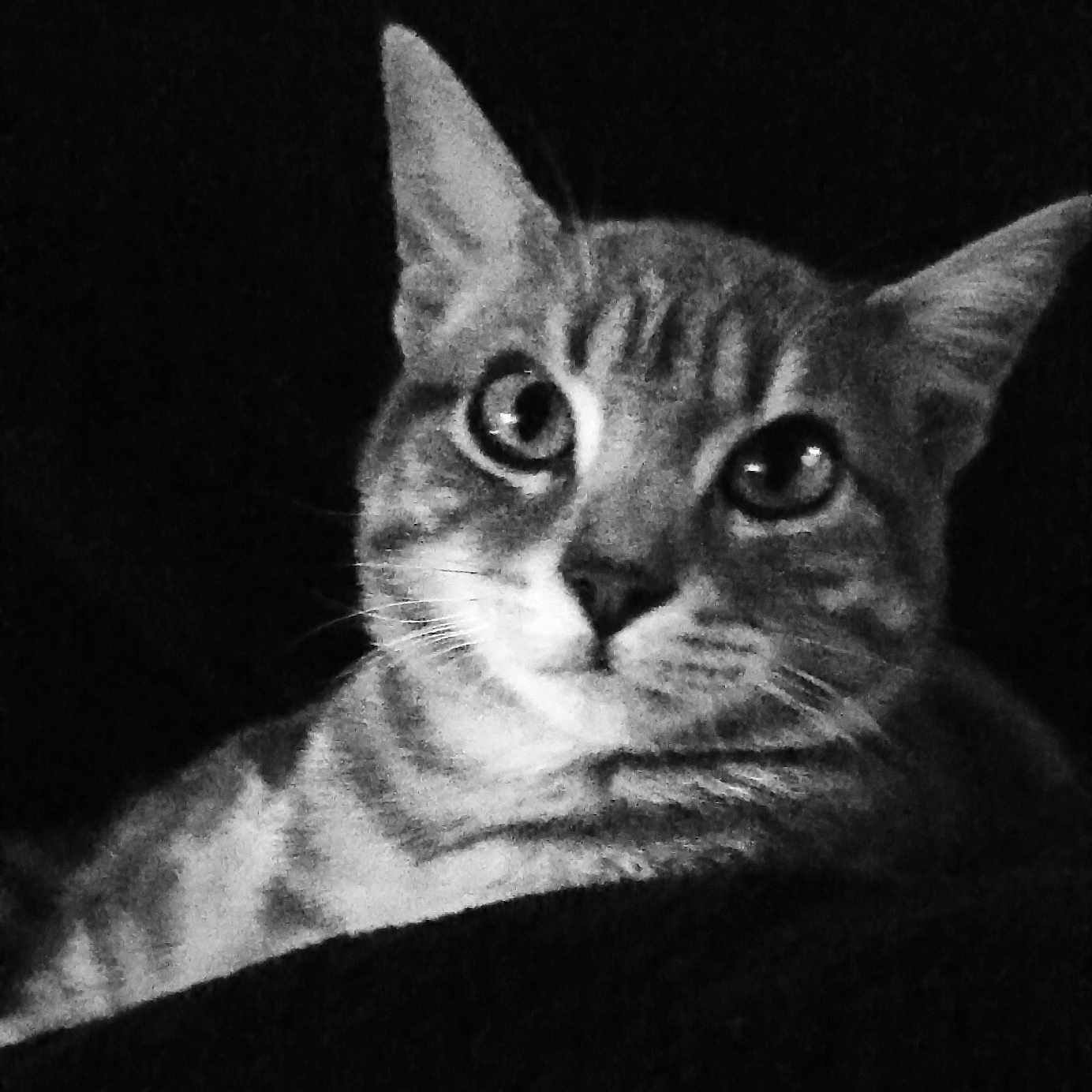 Minette