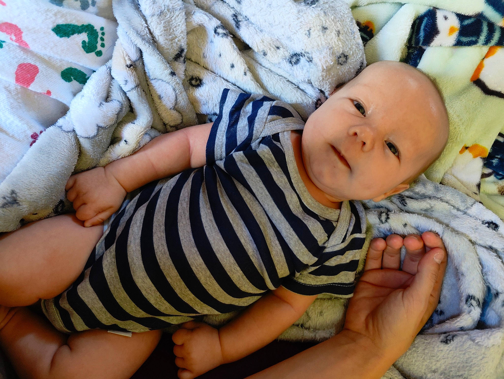 Mavrick is registered to the contest to win money with this photo: baby, baby_toddler_clothing, cheek, child, comfort, finger, foot, grass, happy, human_leg, linens, nail, nose, pattern, person, sitting, skin, sleeve, smile, toddler