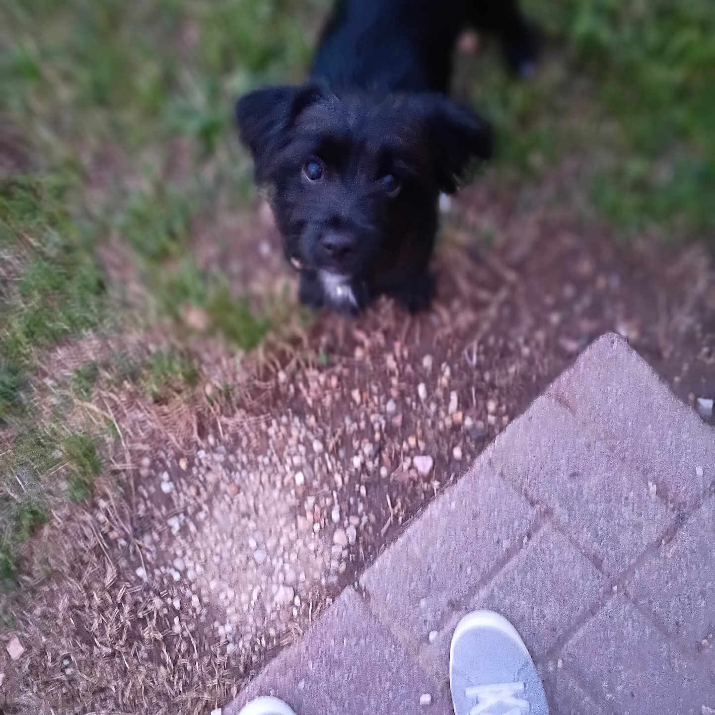 Coco