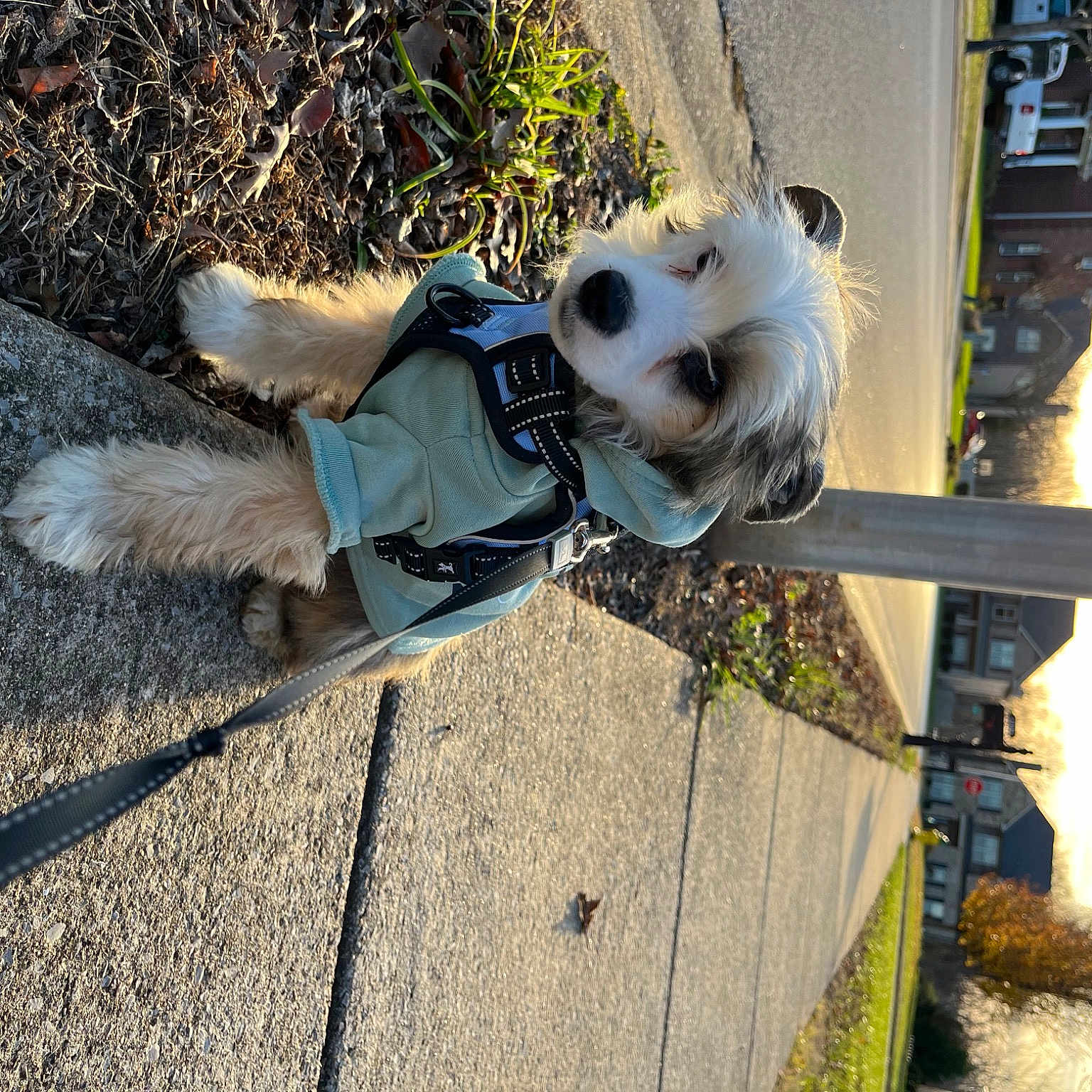 Jax