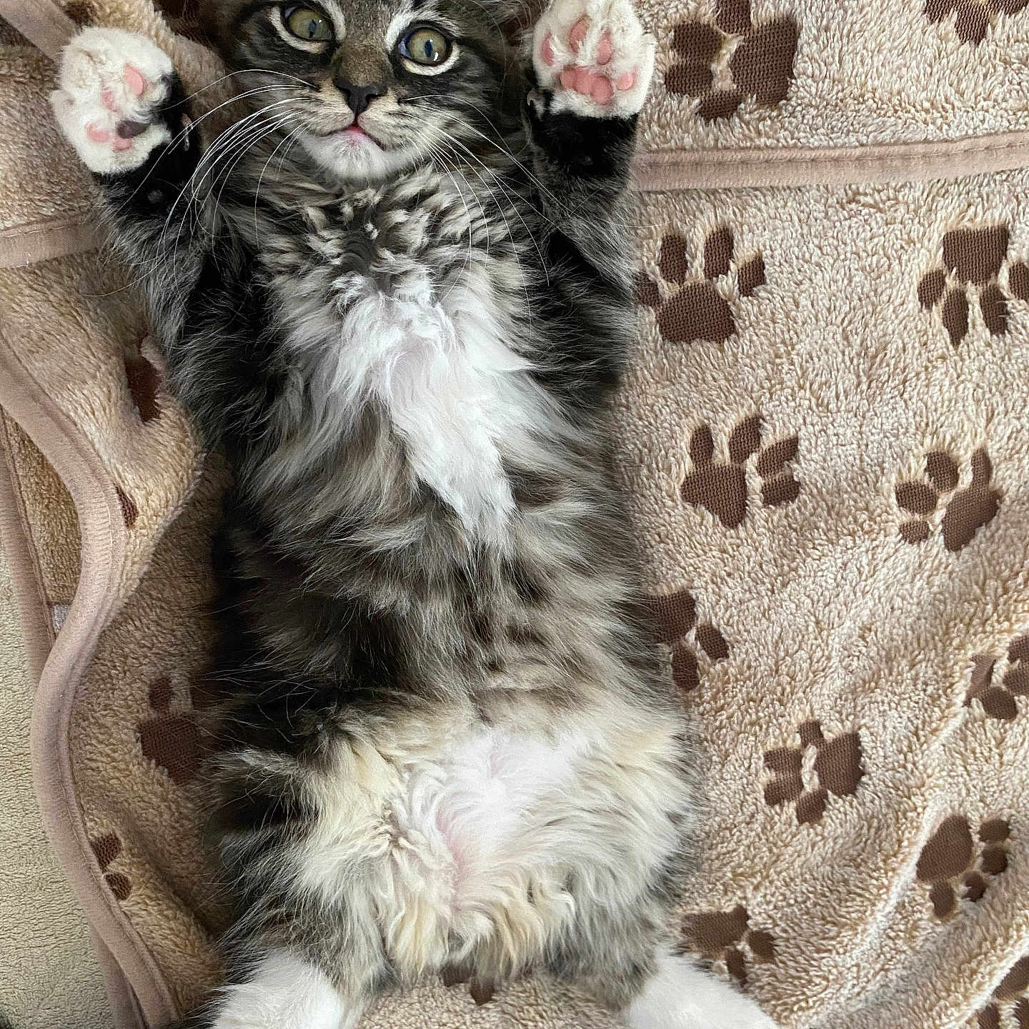 Bernie