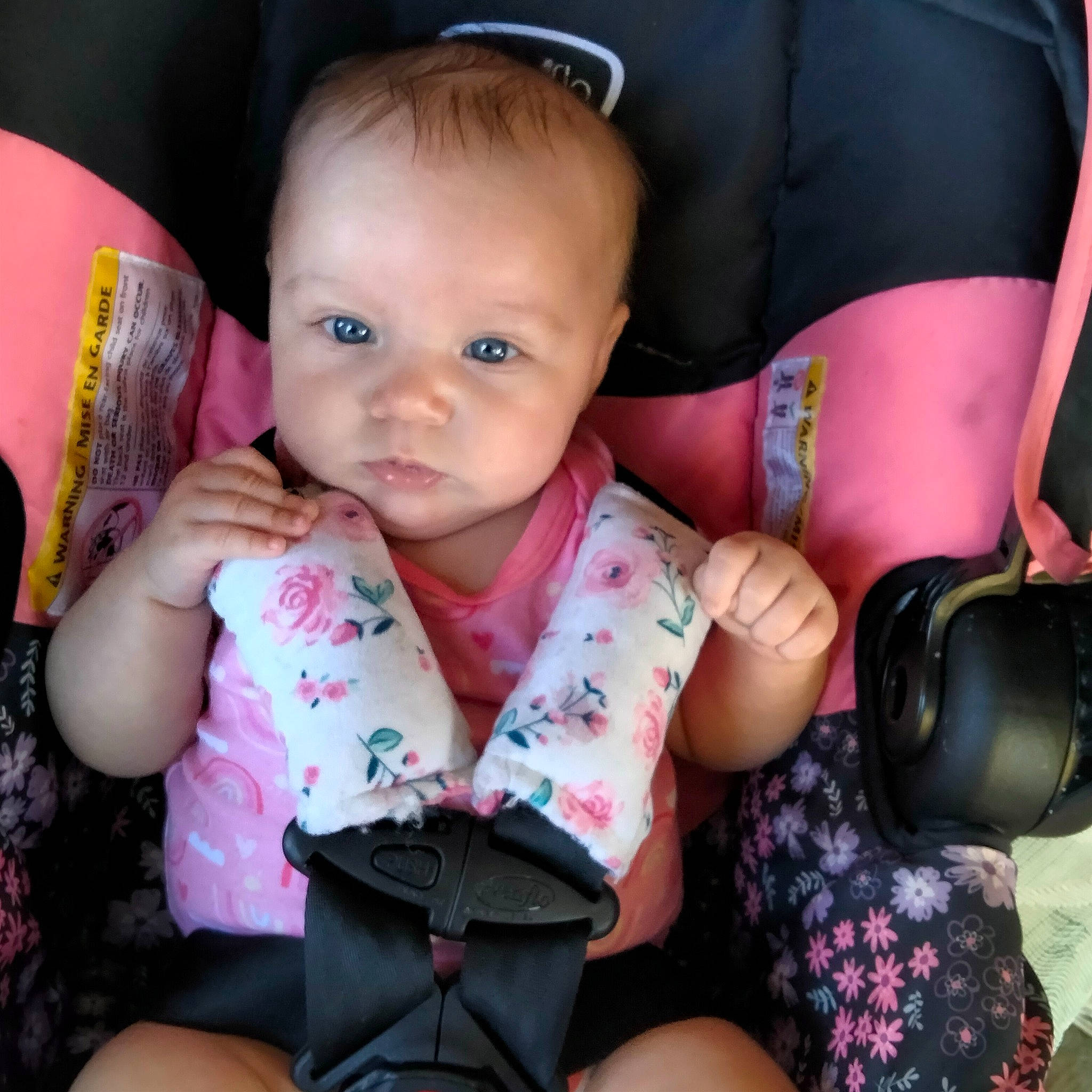 Alora joined the competition — help win amazing prizes! arm, baby, baby_carriage, baby_toddler_clothing, camera_lens, car_seat, cheek, child, comfort, finger, fun, hand, human, mouth, person, pink, reflex_camera, seat_belt, skin, sleeve