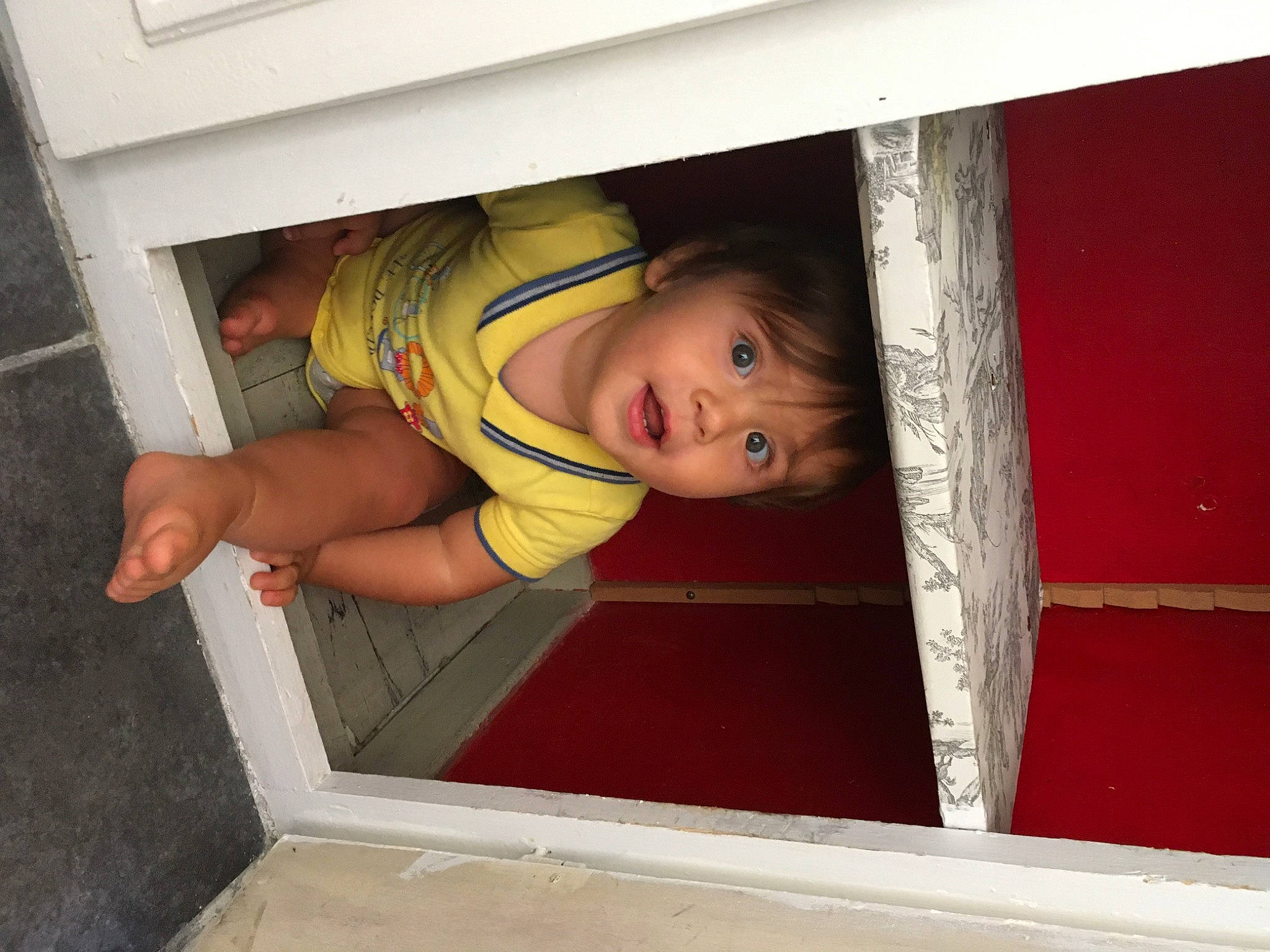 Louis participe au concours pour gagner de l'argent avec cette photo : child, person