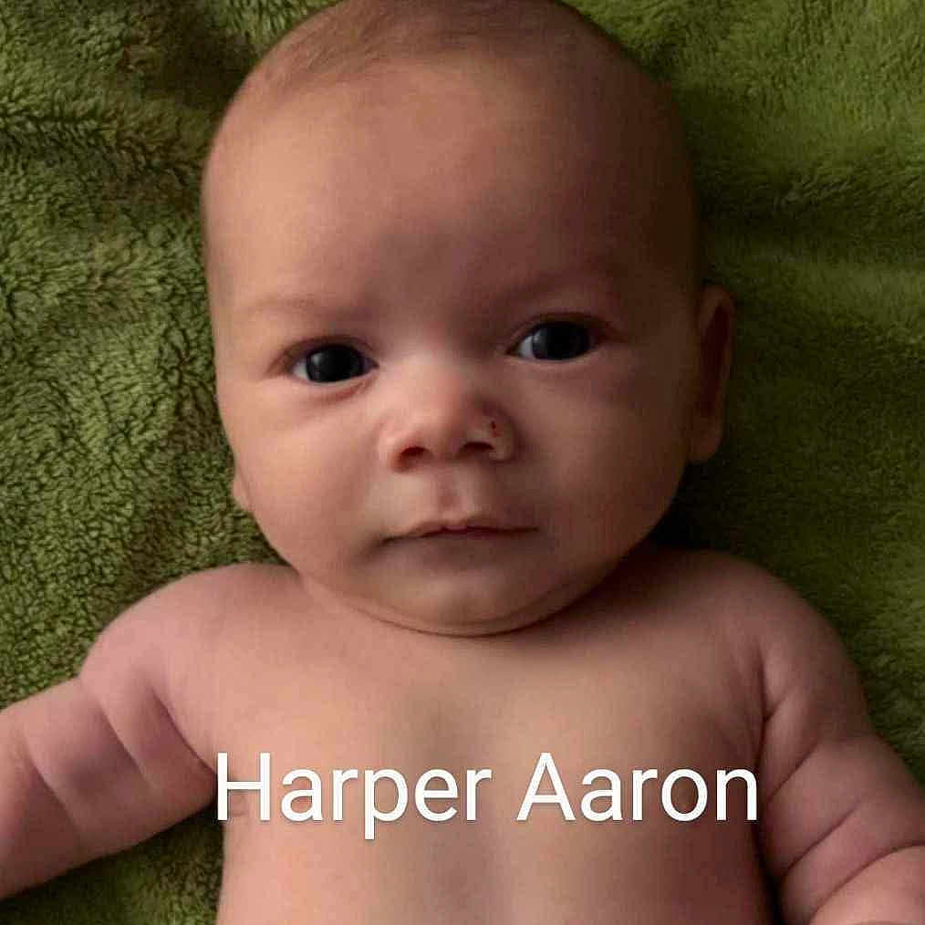 Harper