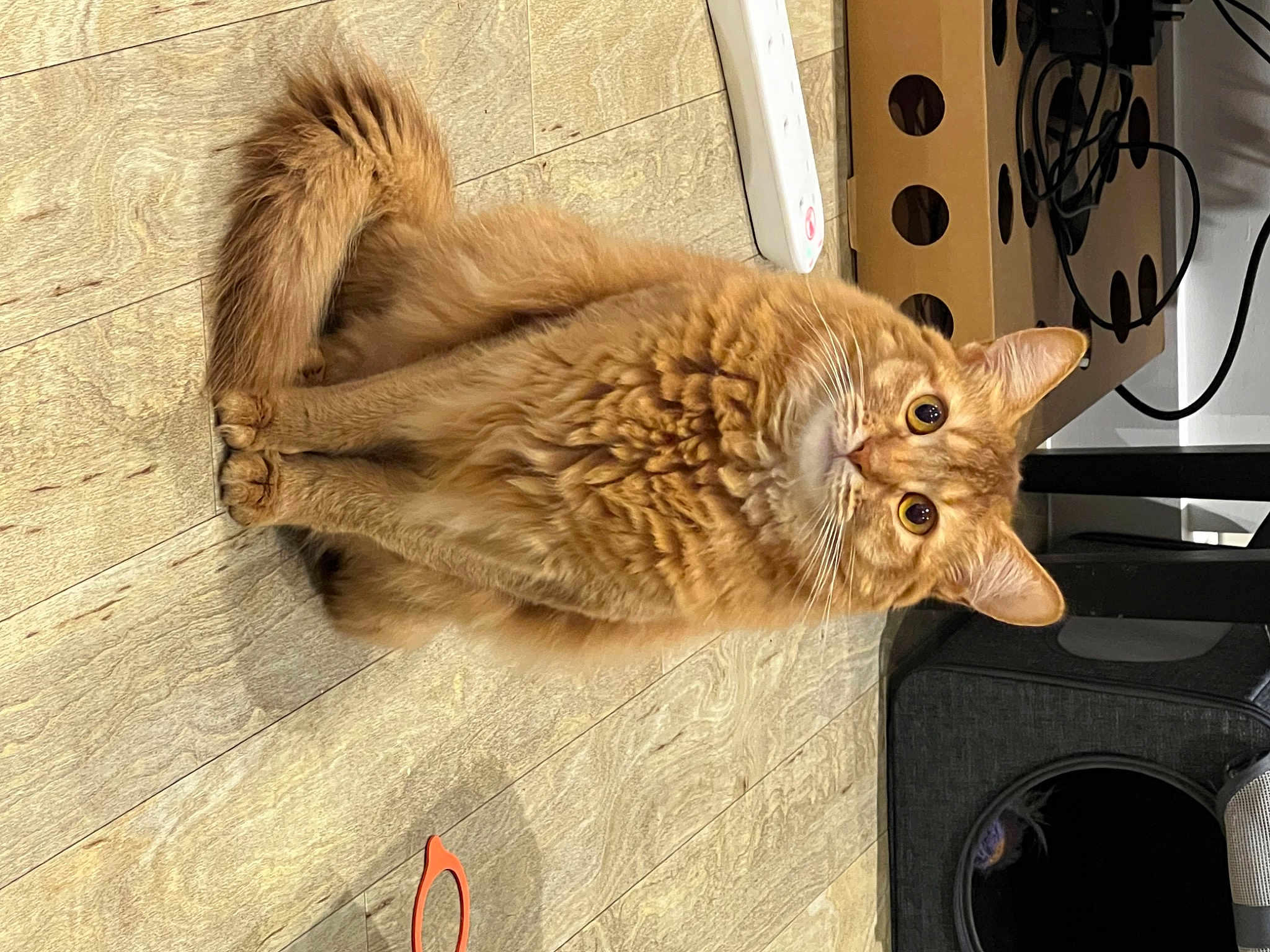 Nala