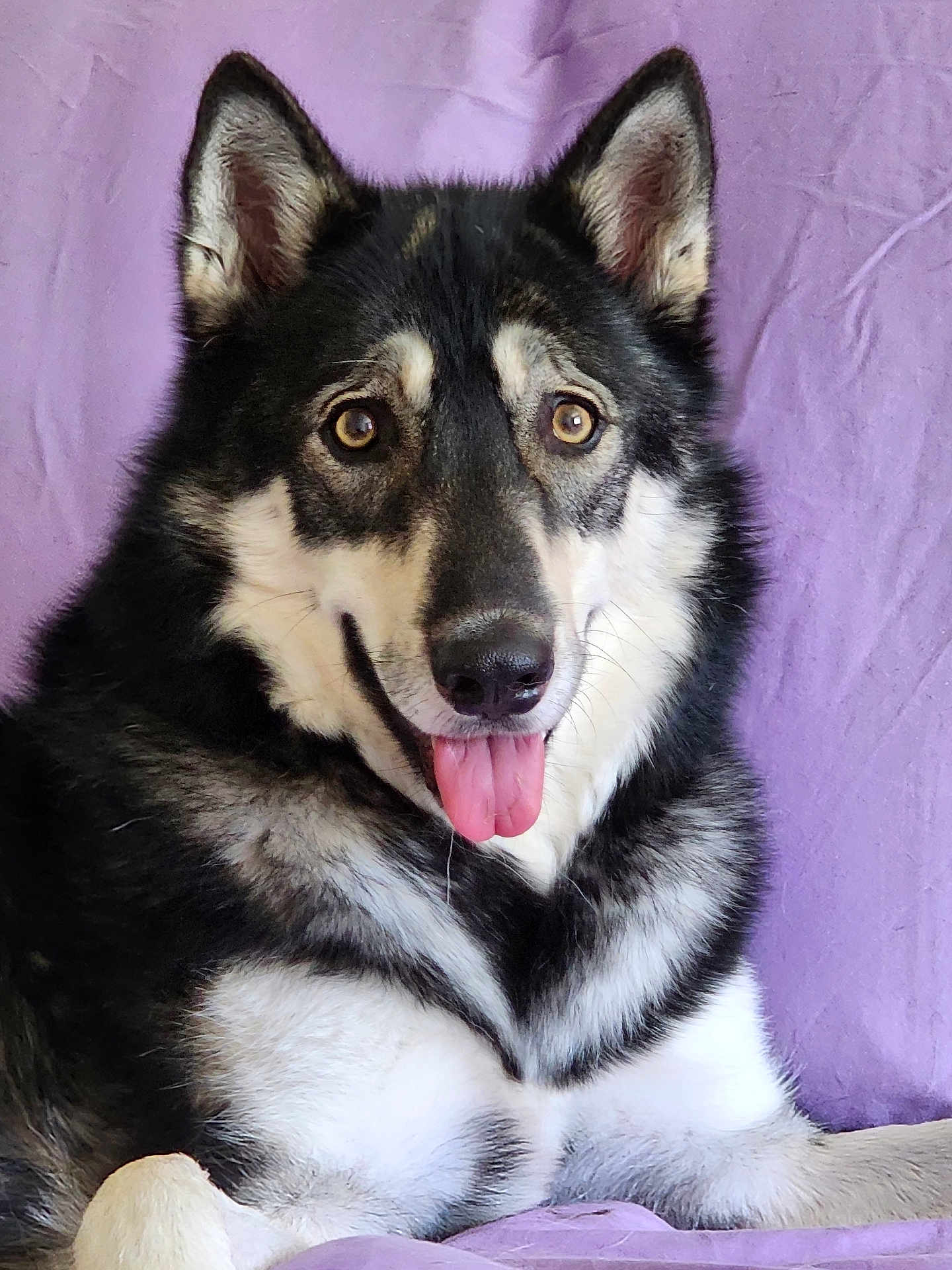 Ivan