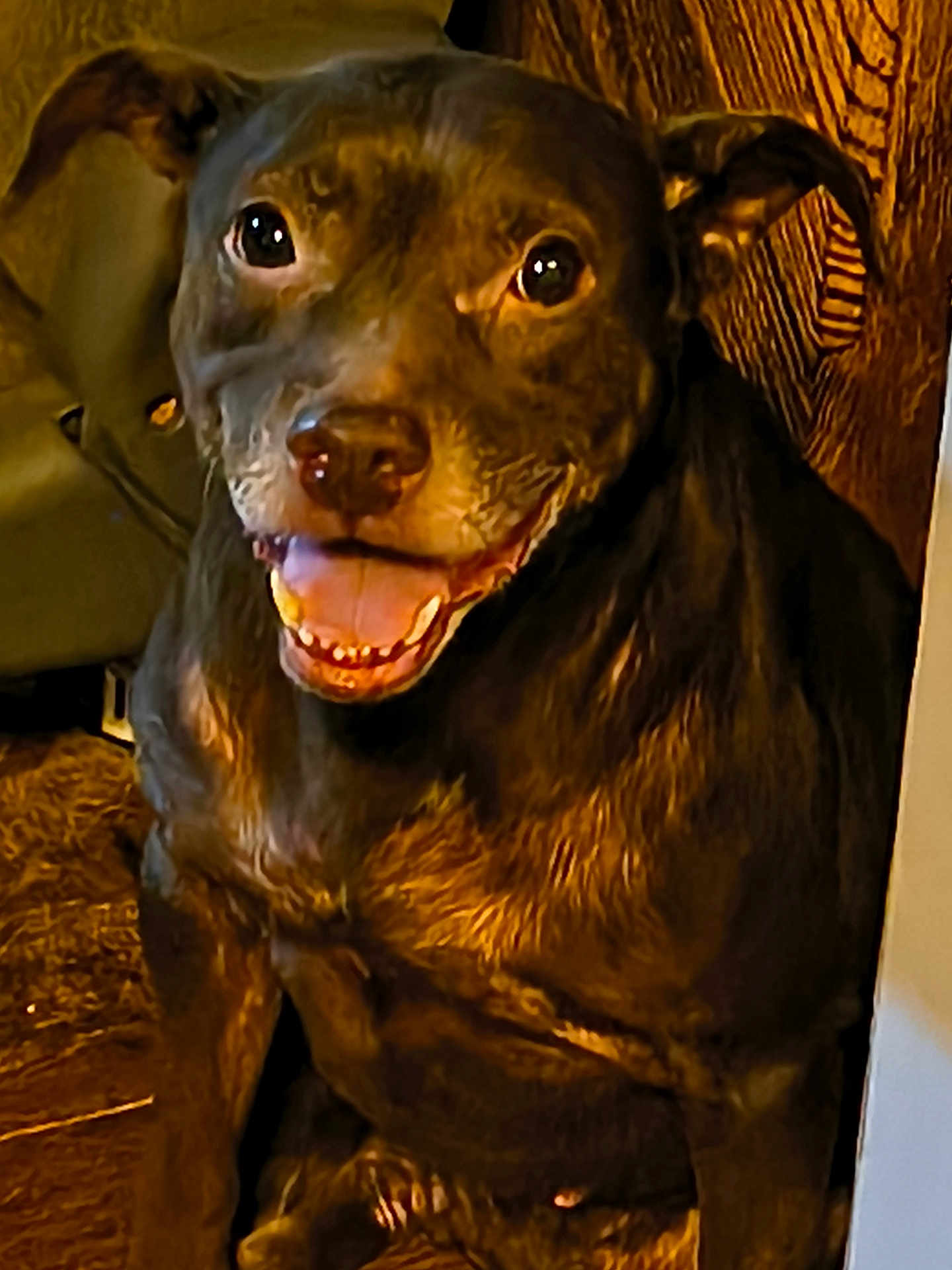 Hershey