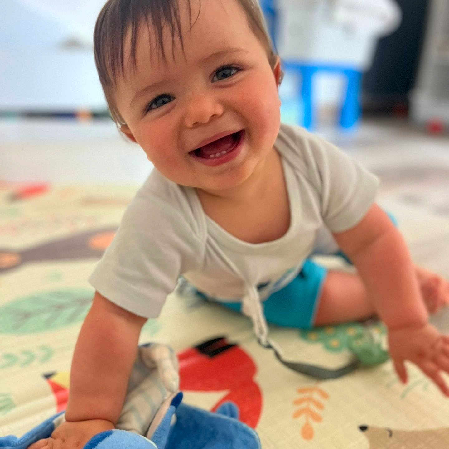 Ayden participe au concours pour gagner de l'argent avec cette photo : baby, blue, blue_shorts, child, crawling, cute, face, happy, head, home, indoor, infant, person, play_mat, plush_toy, short_sleeve_shirt, skin, smiling, toy, young_child