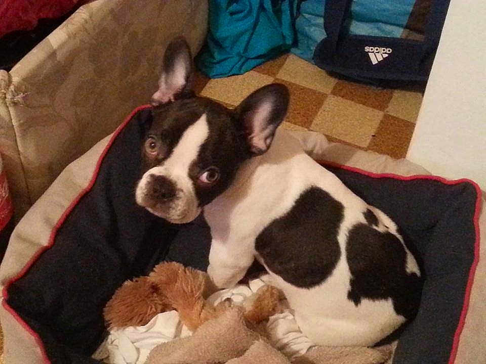 Diego