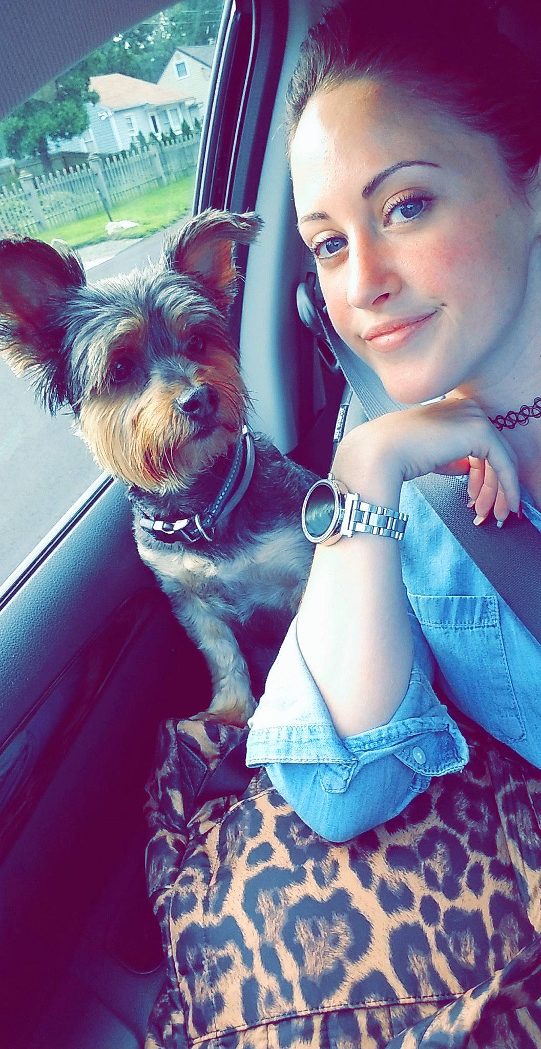 Louie is registered to the contest to win money with this photo: black_hair, blue, canidae, car, carnivore, companion_dog, dog, dog_breed, electric_blue, eyelash, fawn, flash_photography, gesture, happy, jewellery, smile, sporting_group, street_fashion, toy_dog, vehicle_door