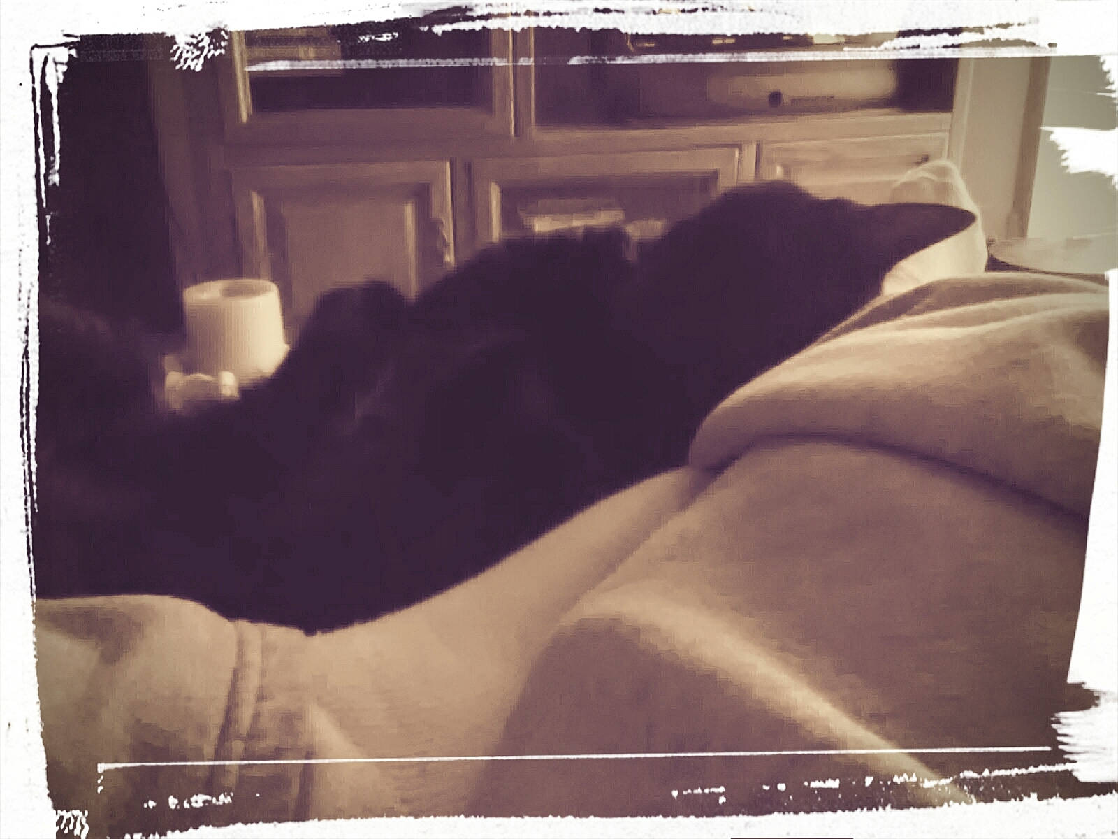 Chuck joined the competition — help win amazing prizes! black, black_and_white, house, monochrome, photograph, photographic_paper, photography, room, sky, snapshot, square, style, tints_and_shades, white