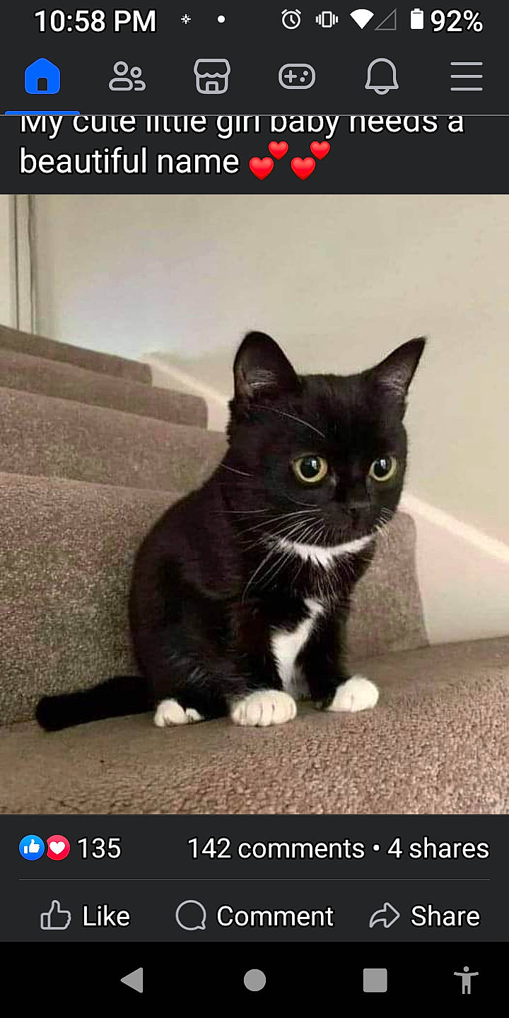 Luther is registered to the contest to win money with this photo: advertising, asphalt, automotive_tire, black_cat, carnivore, cat, domestic_short_haired_cat, eye, felidae, font, fur, monochrome_photography, paw, photo_caption, small_to_medium_sized_cats, snout, tail, terrestrial_animal, whiskers