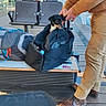 Vicky a rejoint le concours — aidez-le/la à gagner de superbes lots ! dog, bag, bench, person, shoes, pants, waiting_area, train_station, travel, luggage, indoor, floor, seat, hand, black_dog, brown_shoes, modern, waiting, curious, leash