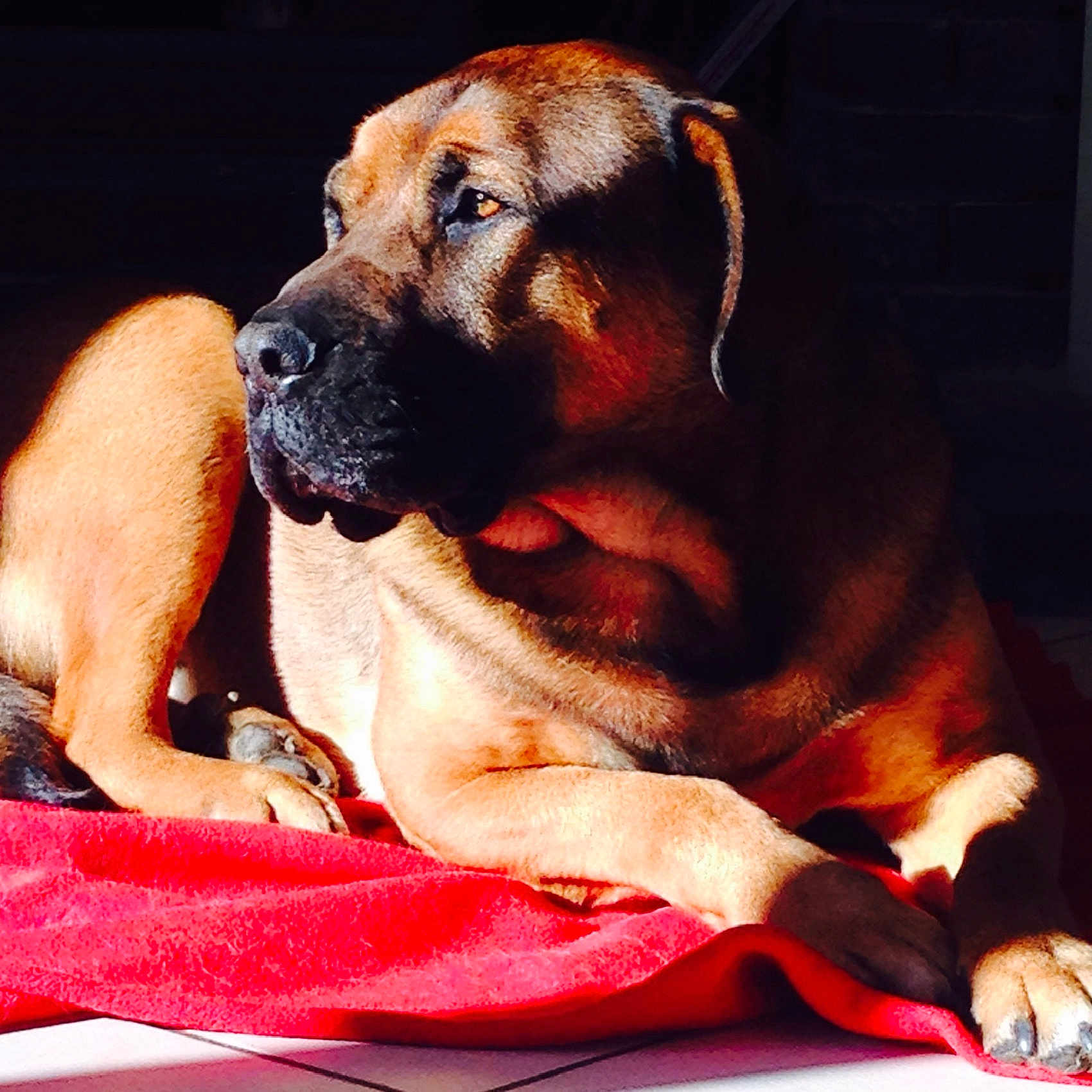 Booba