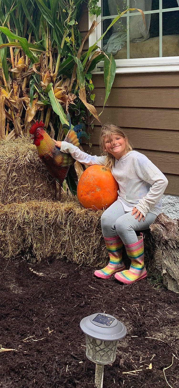 Joselyn is registered to the contest to win money with this photo: agriculture, calabaza, cucurbita, fruit, gourd, grass, happy, joy, local_food, natural_foods, people_in_nature, person, plant, produce, pumpkin, smile, soil, squash, tree, vegetable