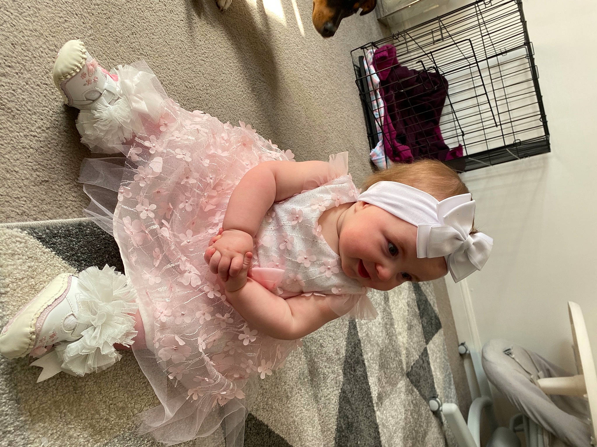 Ava-rose joined the competition — help win amazing prizes! arm, baby, bed, bridal_accessory, bridal_clothing, bridal_party_dress, child, dress, embellishment, event, fashion_design, flash_photography, gown, happy, headpiece, headwear, leg, person, pink, shoulder
