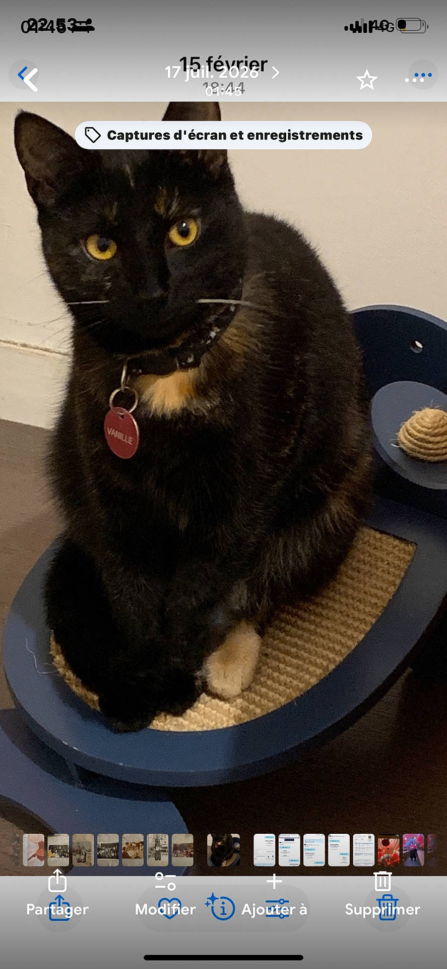 Vanille participe au concours pour gagner de l'argent avec cette photo : animal, black_cat, blue_furniture, cat, cat_scratch_pad, collar, curious, date_overlay, domestic_cat, floor, fur, indoor, looking, pet, pet_tag, phone_interface, screen_capture, sitting, whiskers, yellow_eyes