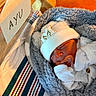 Matthew is registered to the contest to win money with this photo: newborn, baby, sleeping, pacifier, hat, blanket, hospital, bassinet, cozy, infant, white_clothing, soft_texture, name_tag, wood, striped_blanket, cute, wrapped, peaceful, indoors, closeup