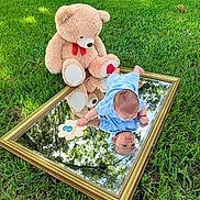 Matthew is registered to the contest to win money with this photo: baby, blue_clothing, child, cute, grass, greenery, infant, mirror, nature, outdoor, playful, plush_toy, portrait, red_bow, reflection, sitting, summer, sunlight, teddy_bear, wooden_sign