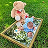 baby, blue_clothing, child, cute, grass, greenery, infant, mirror, nature, outdoor, playful, plush_toy, portrait, red_bow, reflection, sitting, summer, sunlight, teddy_bear, wooden_sign