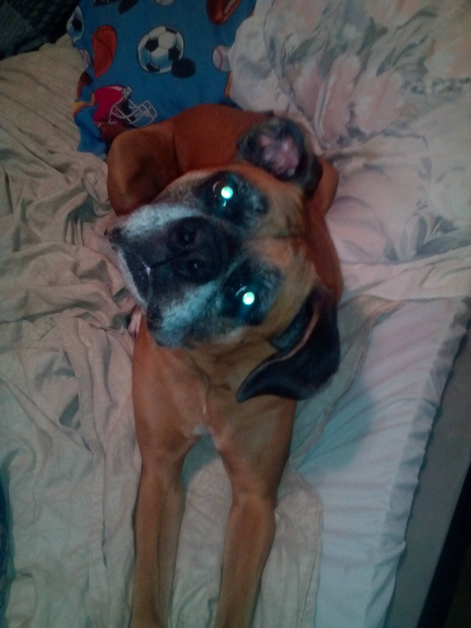 Buster