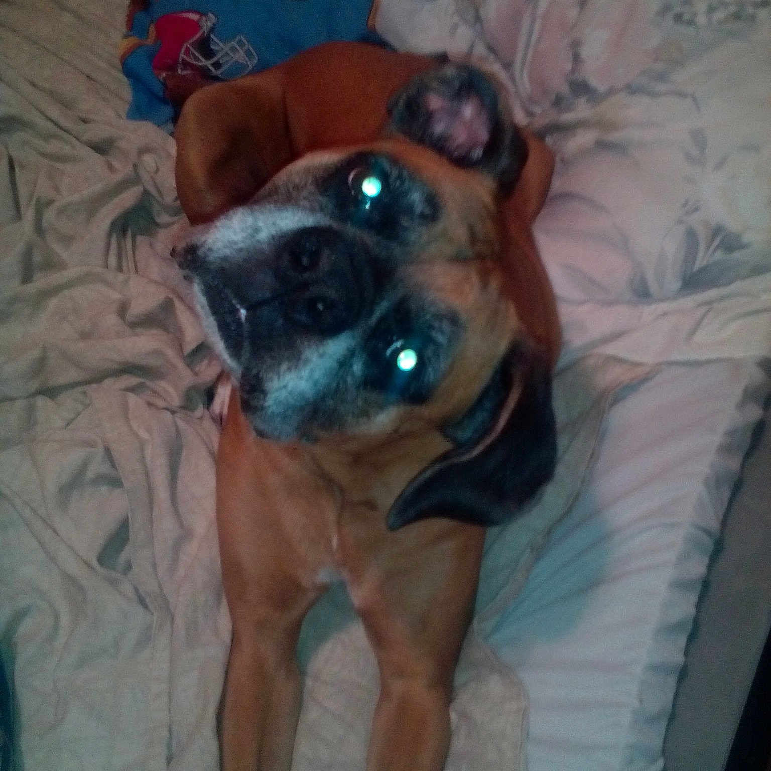 Buster