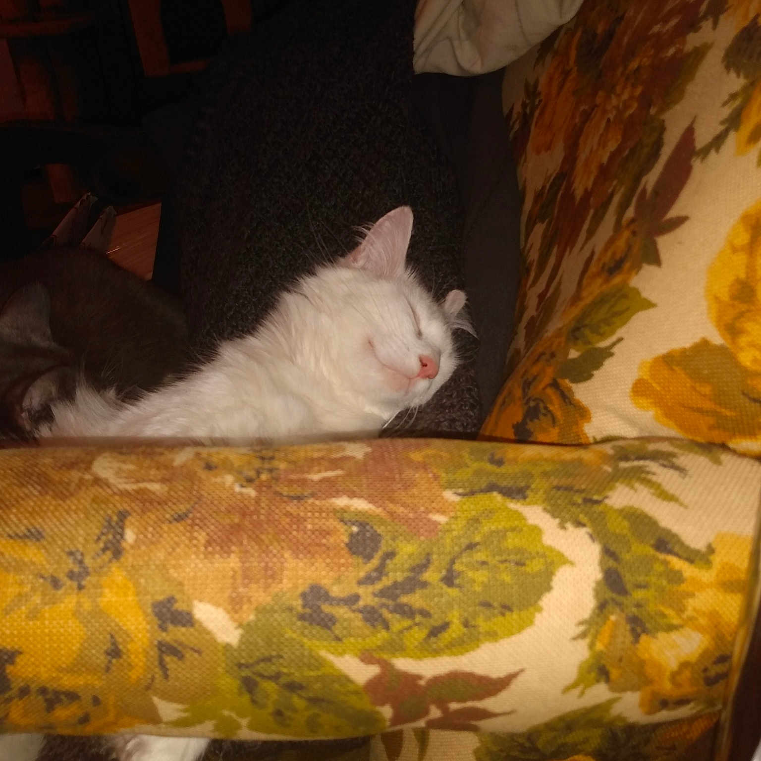 Peanut