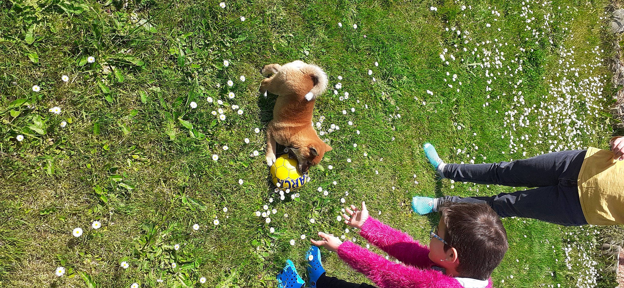 Texas a rejoint le concours — aidez-le/la à gagner de superbes lots ! arm, botany, fawn, fun, grass, grass_family, grassland, groundcover, hand, happy, lawn, leaf, leisure, meadow, people_in_nature, plant, recreation, shrub, toy, tree