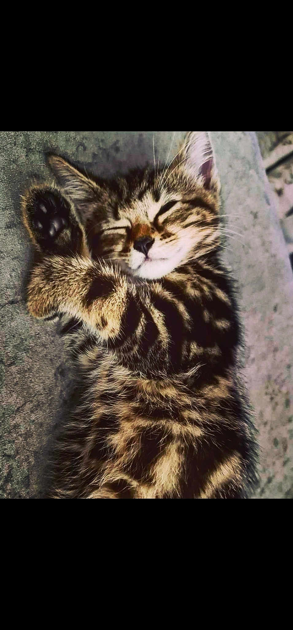 Myla