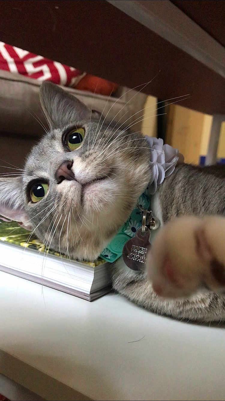 Loretta