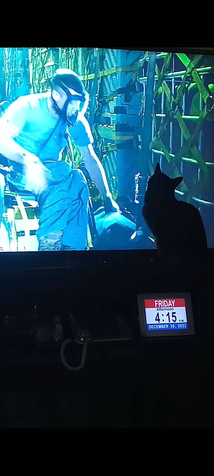 Gizmo joined the competition — help win amazing prizes! art, artist, blue, cat, display_device, electric_blue, electronic_device, entertainment, event, hat, light, microphone, multimedia, music, musical_instrument, musician, performing_arts, small_to_medium_sized_cats, technology, television_set