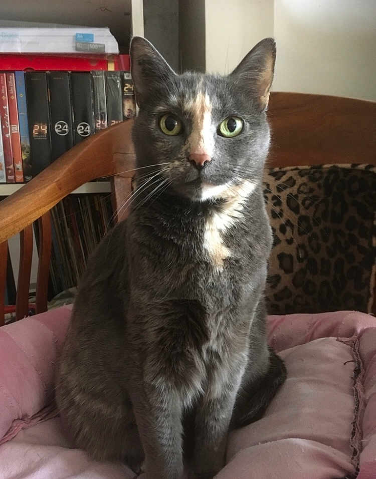Pearl