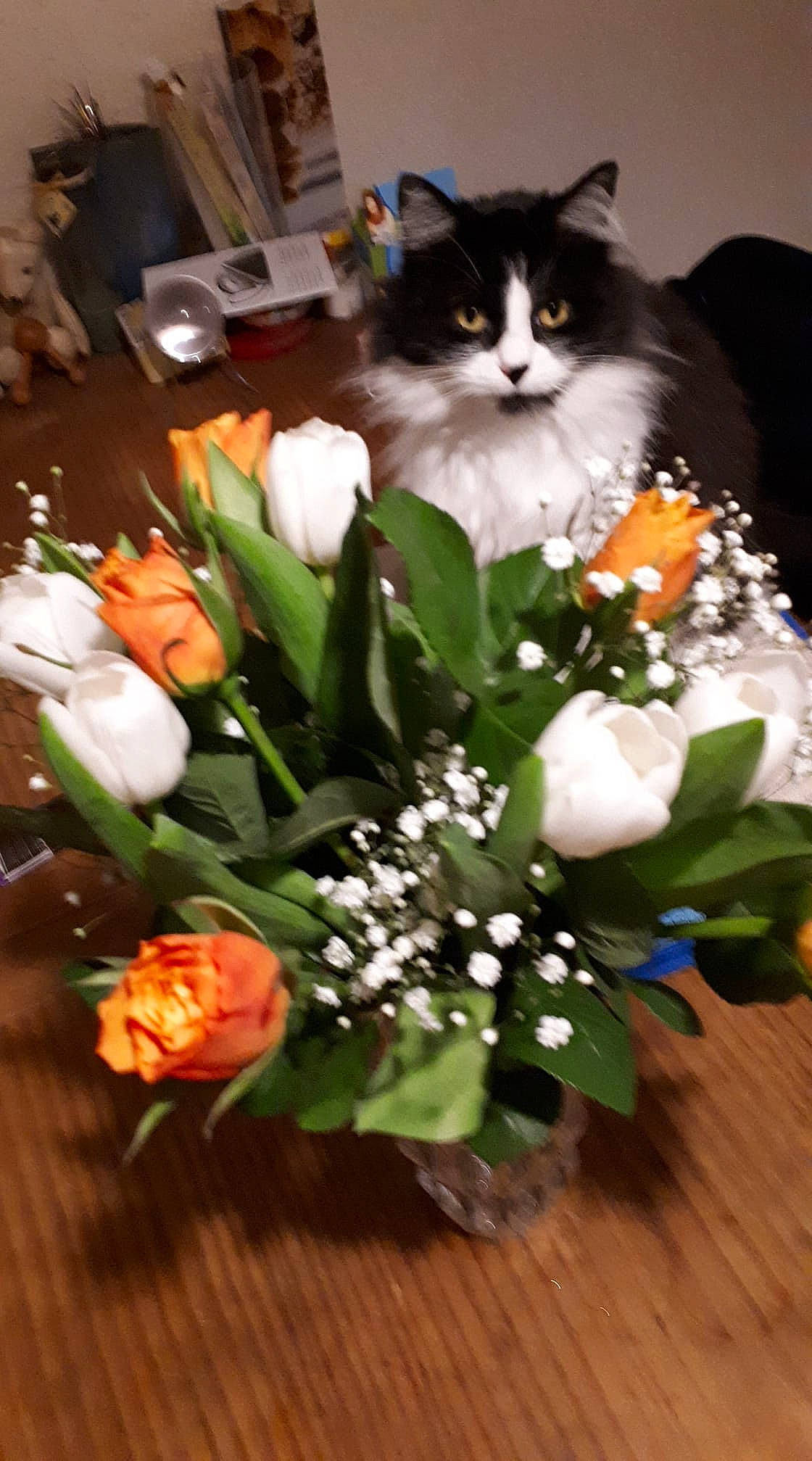 Mishka participe au concours pour gagner de l'argent avec cette photo : annual_plant, artificial_flower, bouquet, cat, cut_flowers, event, felidae, floristry, flower, flower_arranging, flowering_plant, flowerpot, formal_wear, herbaceous_plant, orange, pansy, petal, plant, rose, small_to_medium_sized_cats