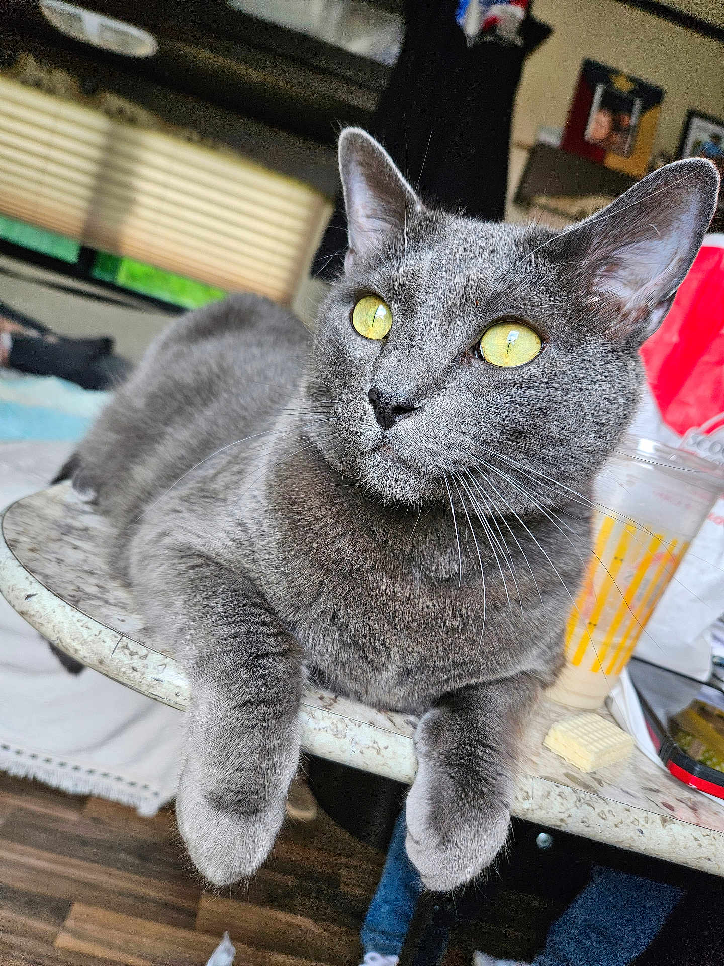 Danni
