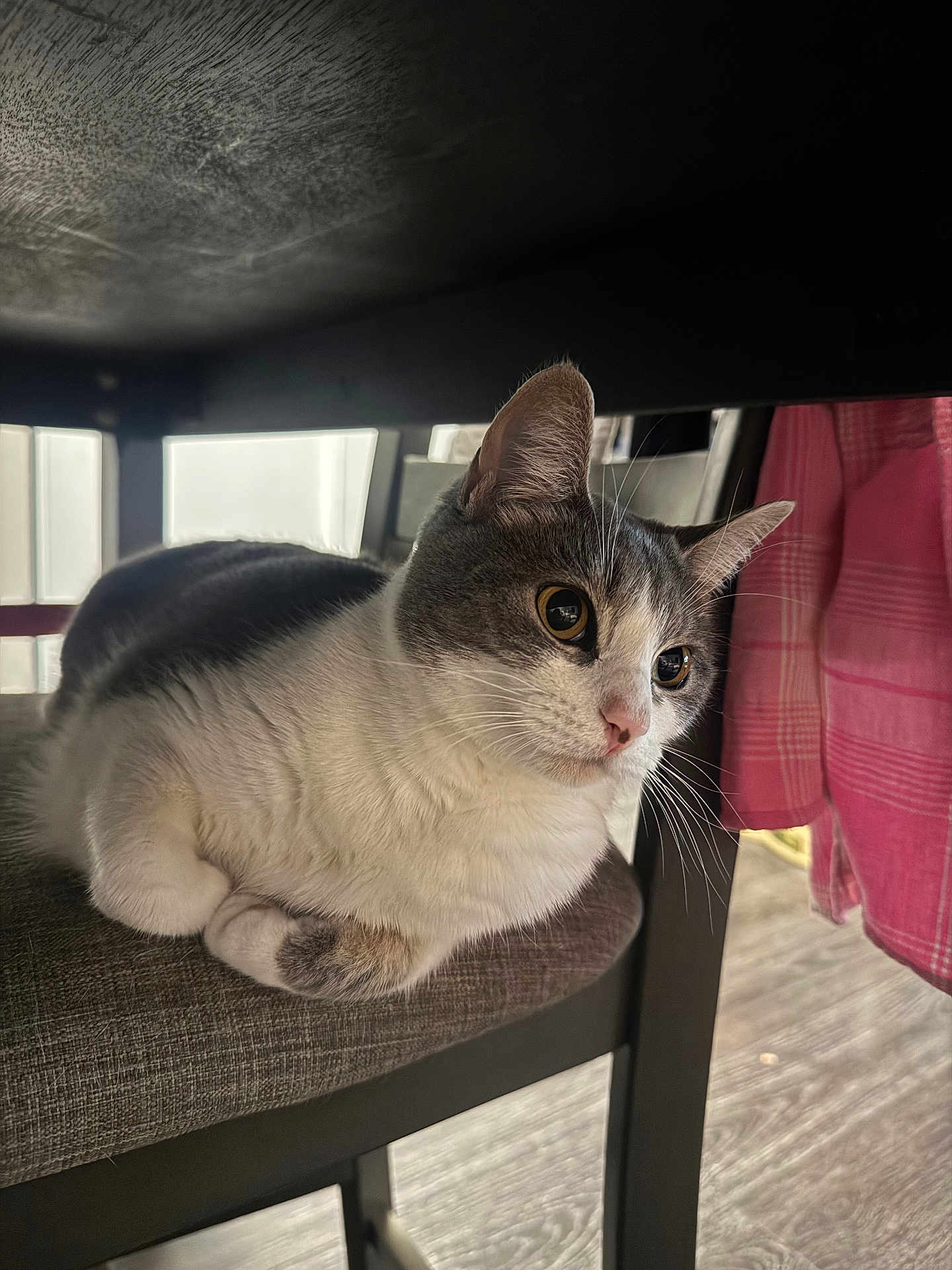 Winnie